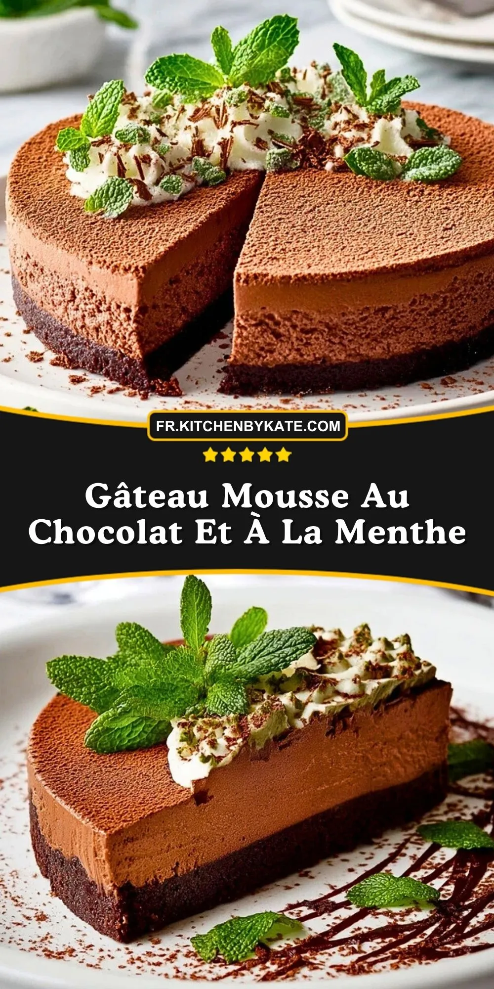 Gâteau Mousse Au Chocolat Et À La Menthe (2)
