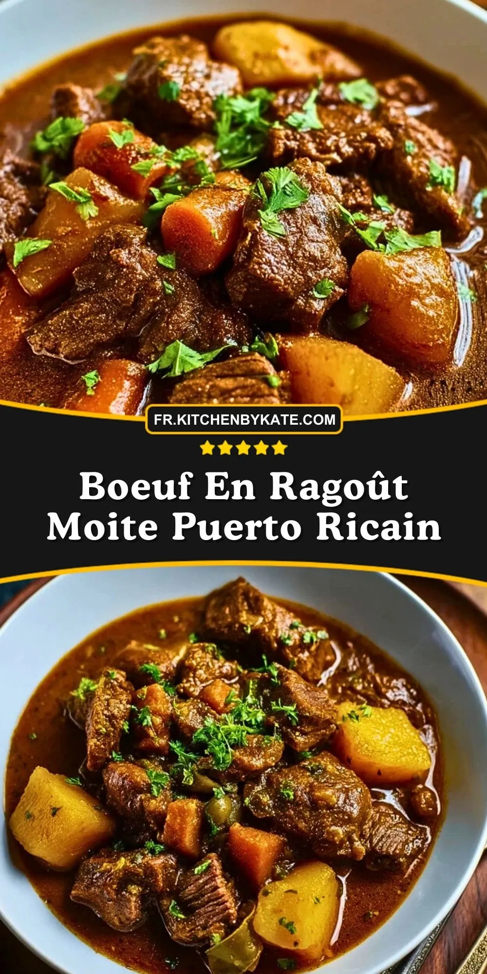 Boeuf En Ragoût Moite Puerto Ricain (2)