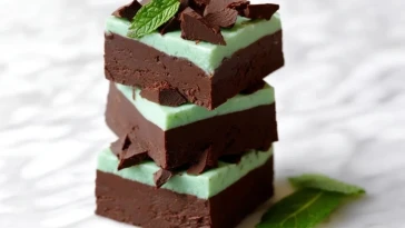 Fudge Au Chocolat Menthe