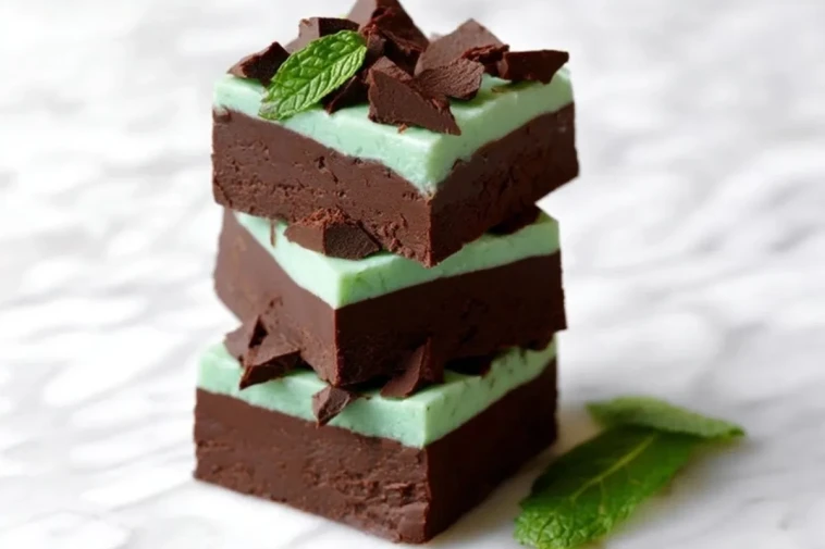 Fudge Au Chocolat Menthe