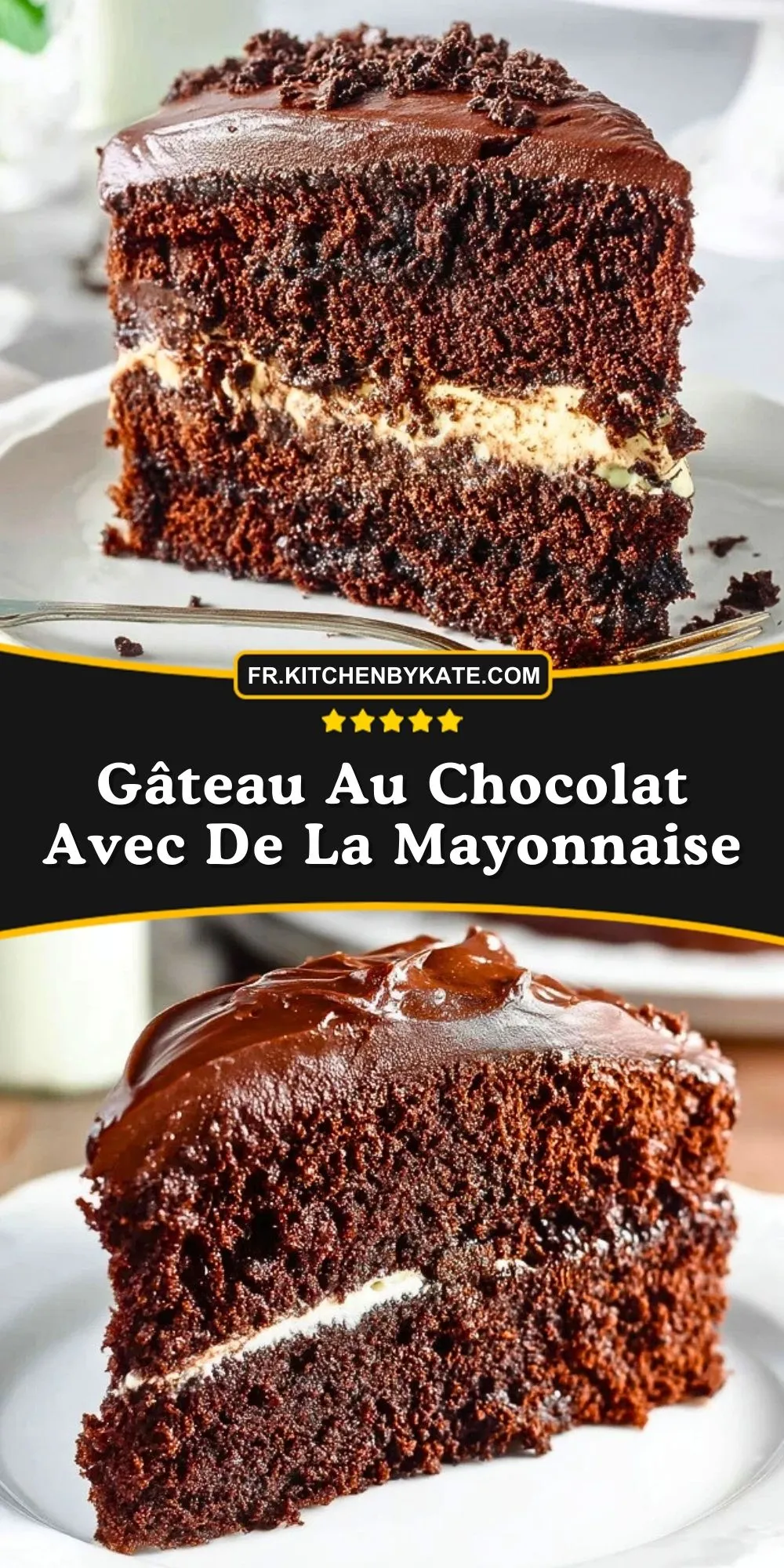 Gâteau Au Chocolat Avec De La Mayonnaise (2)