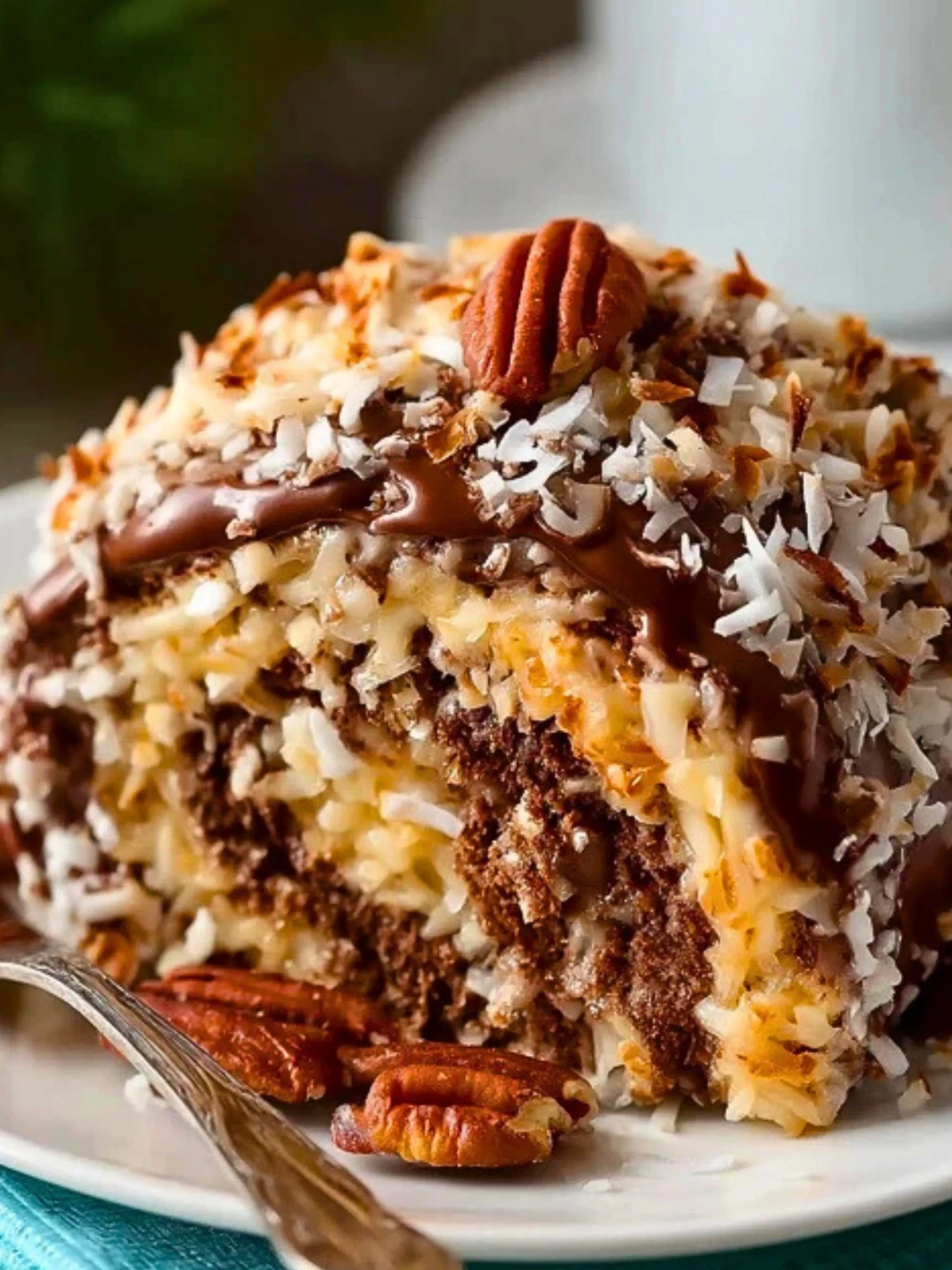 Gâteau Roulé Chocolat Noisettes Coco Décadent (1)