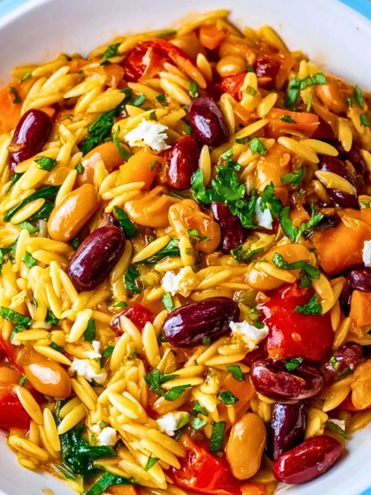 Orzo Méditerranéen aux Haricots (1)