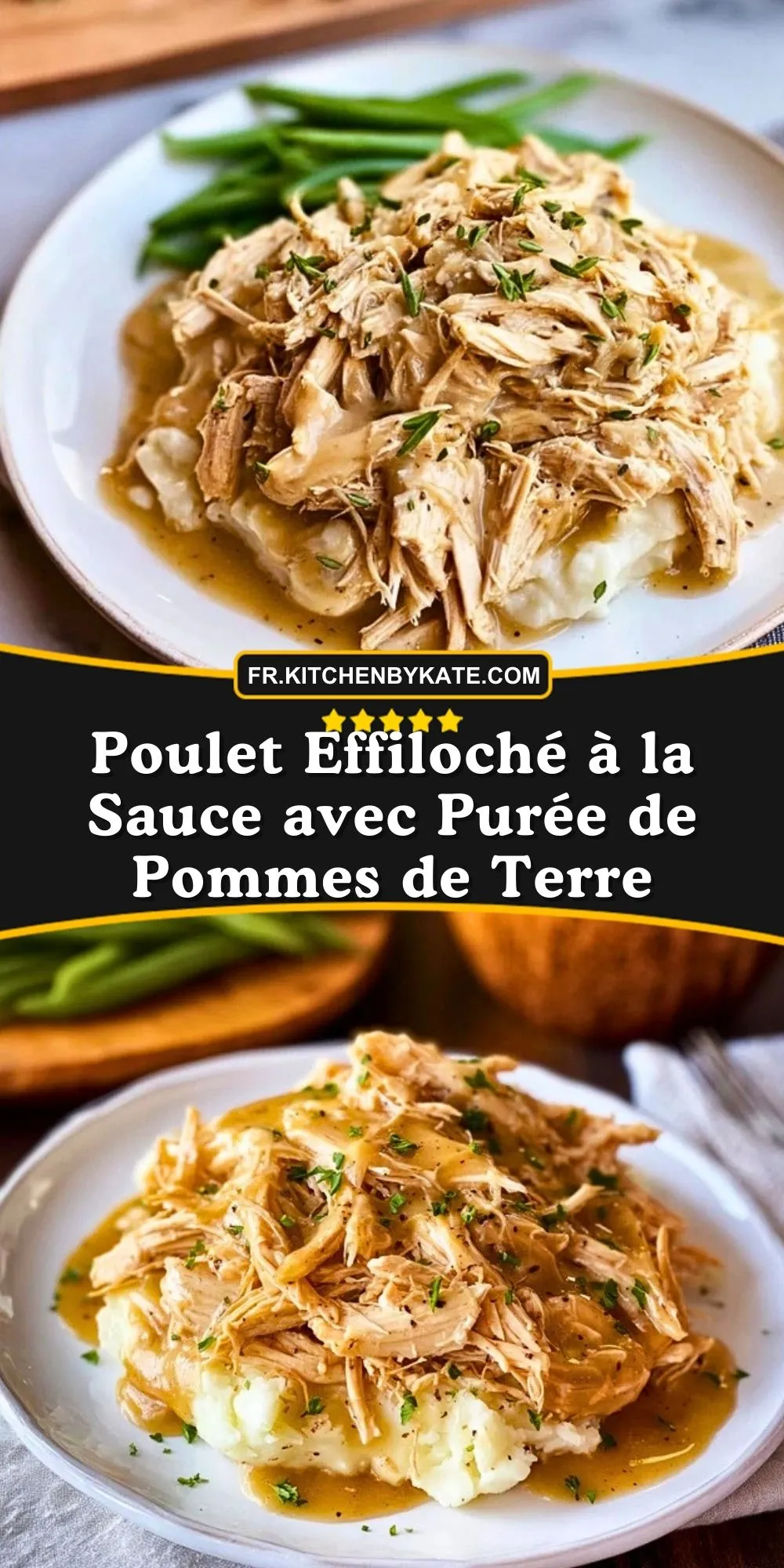 Poulet Effiloché à la Sauce avec Purée de Pommes de Terre (2)