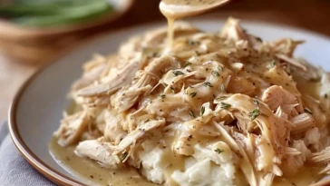 Poulet Effiloché à la Sauce avec Purée de Pommes de Terre