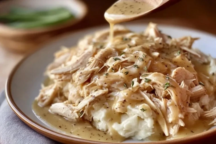 Poulet Effiloché à la Sauce avec Purée de Pommes de Terre