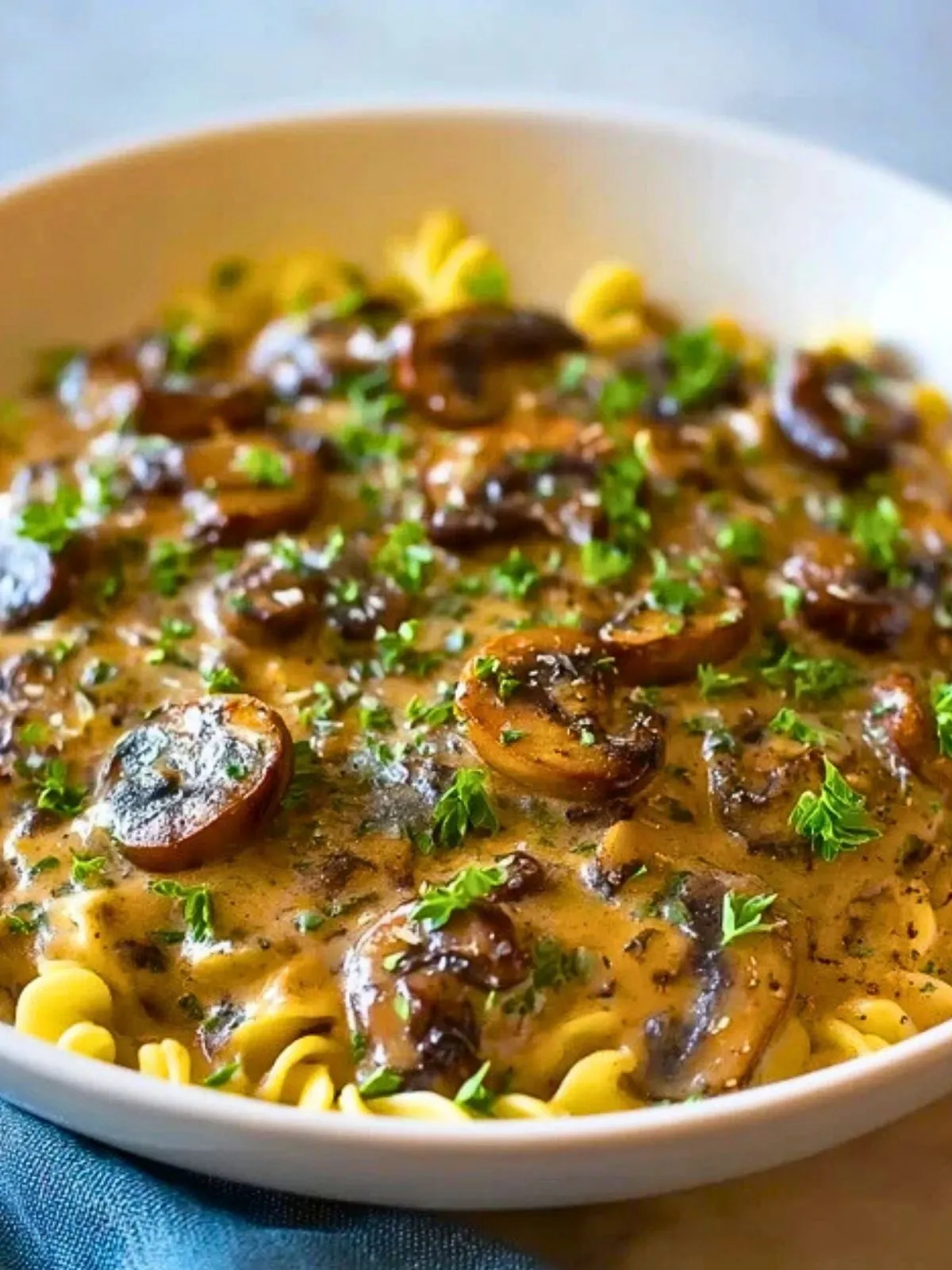 Stroganoff Aux Champignons À lAil (1)