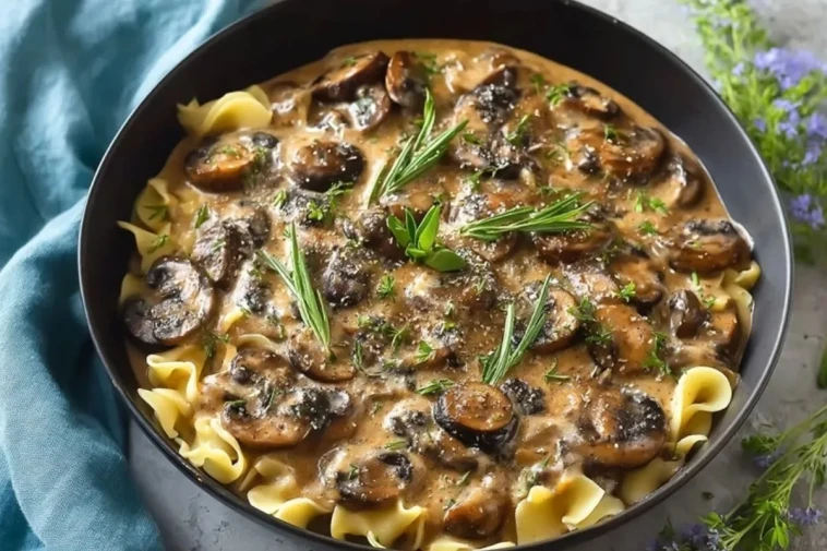 Stroganoff Aux Champignons À lAil