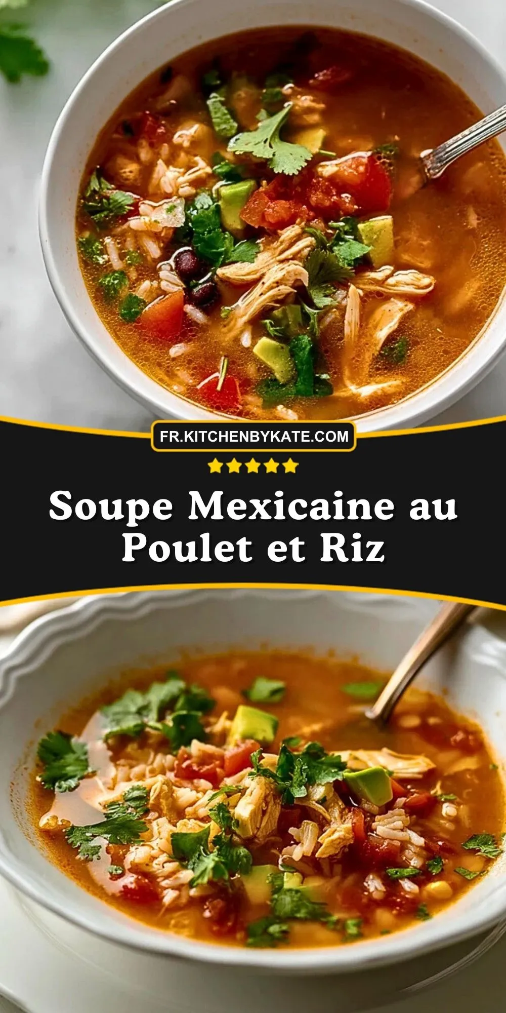 Soupe Mexicaine au Poulet et Riz (2)