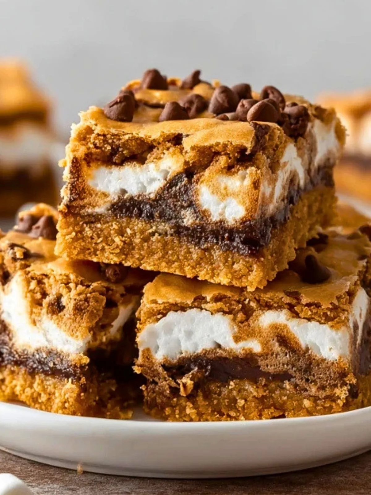 Barres Smores aux Cookies (1)