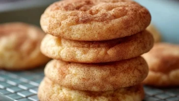 Biscuits Snickerdoodle Moelleux
