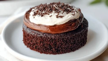 Gâteau Au Chocolat Miniature
