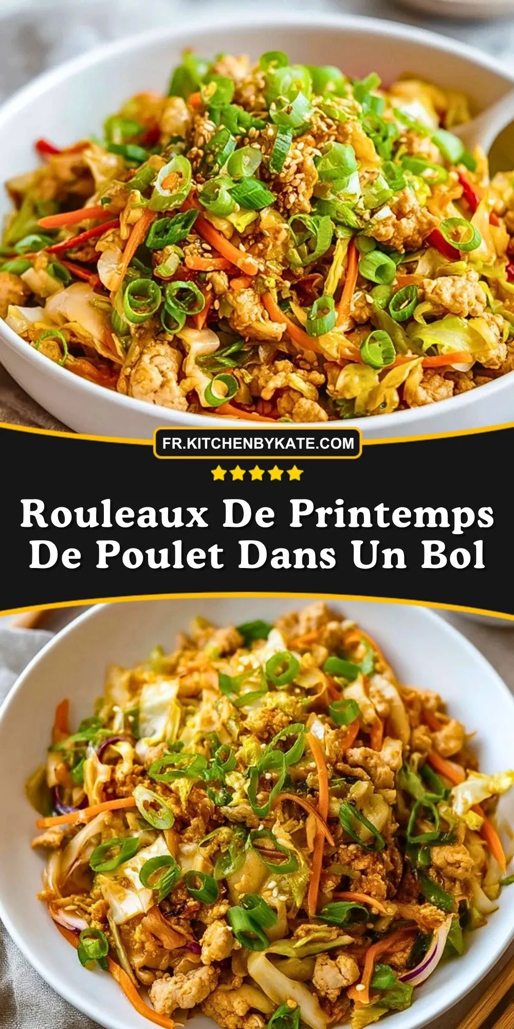 Rouleaux De Printemps De Poulet Dans Un Bol (2)