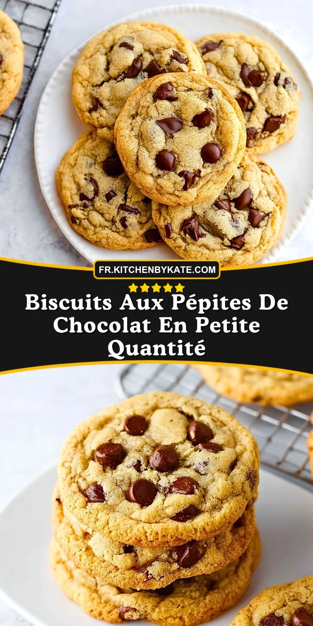 Biscuits Aux Pépites De Chocolat En Petite Quantité (2)