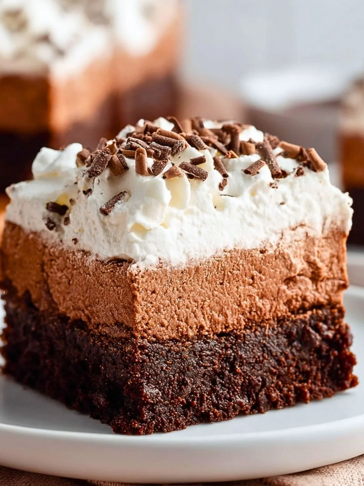 Brownies Au Chocolat Silky (1)