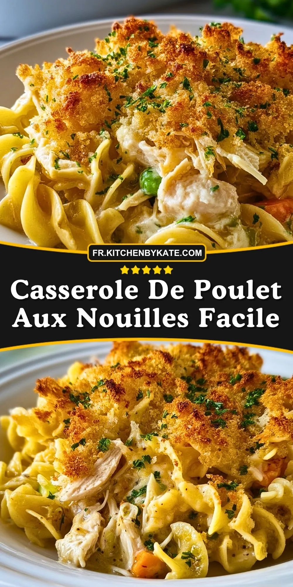 Casserole De Poulet Aux Nouilles Facile (2)