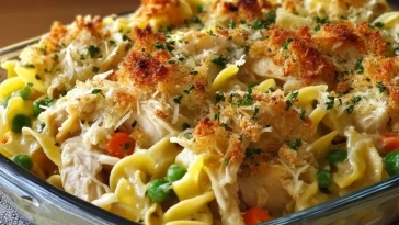 Casserole De Poulet Aux Nouilles Facile