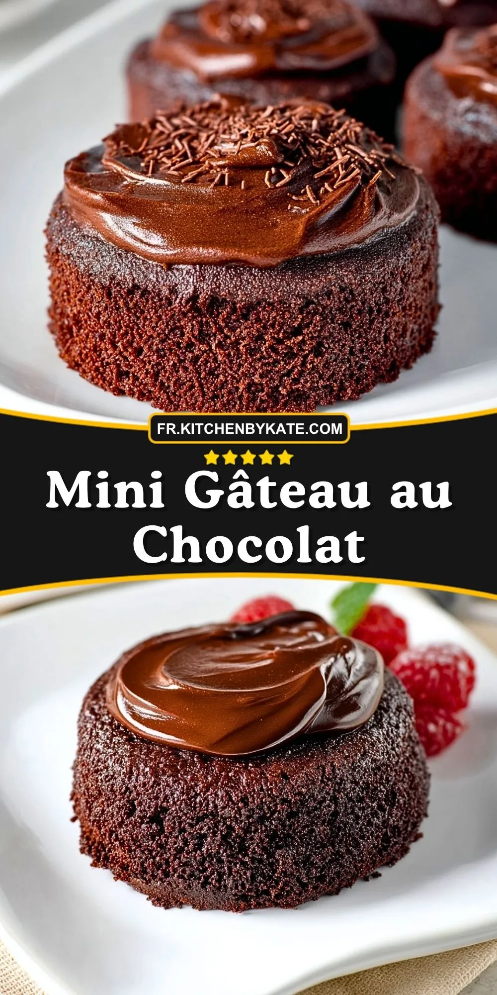 Mini Gâteau au Chocolat (2)