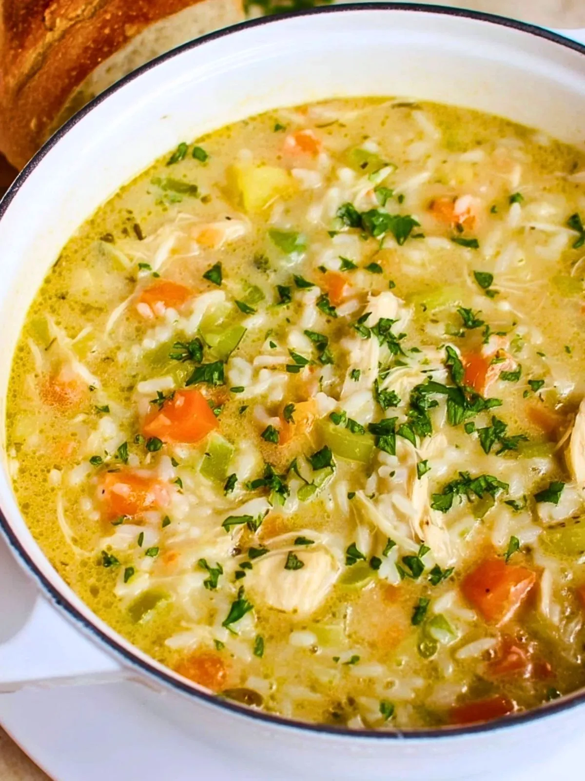 Soupe Crémeuse De Poulet Et De Riz (1)